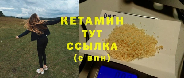 стаф Аркадак