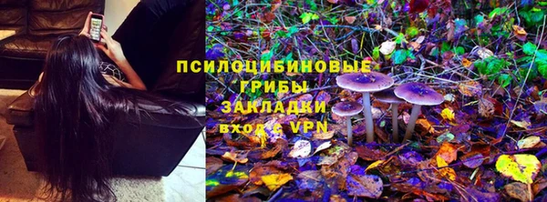 стаф Аркадак