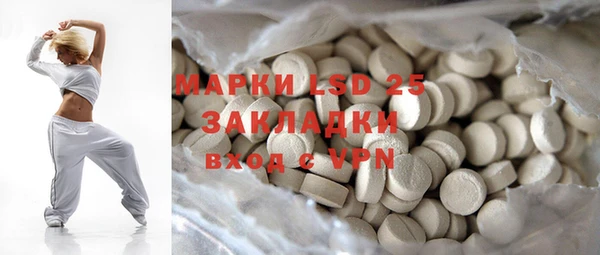 стаф Аркадак