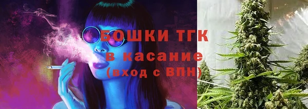 стаф Аркадак