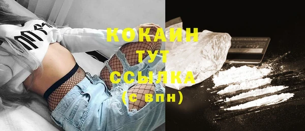 стаф Аркадак