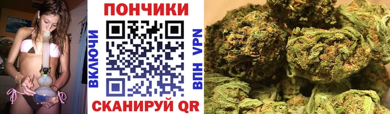 купить наркоту  Черноголовка  Конопля OG Kush 